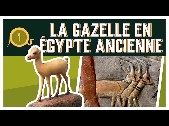 DADH #1 - La GAZELLE en Égypte Ancienne