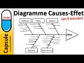 C036 diagramme causes  effets