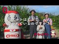 【ヤクルト公式】どこで作ってる篇「おしえて!ヤクルトマン」