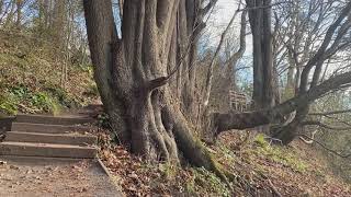 DISCOVERY PARK. SEATTLE, WASHINGTON. B-ROLL. LOOP TRAIL.