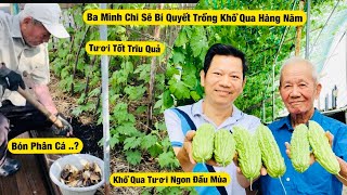 Giàn Khổ Qua - Ba Trồng Và Chia Sẽ Bí Quyết Chăm Sóc Khổ Qua Tươi Tốt Trĩu Quả | Năng Trần CSM