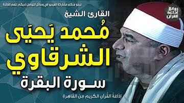 الشيخ محمد يحيى الشرقاوي | قرآن الجمعة | سورة البقرة | مسجد الظاهر بيبرس | 9-6-2023