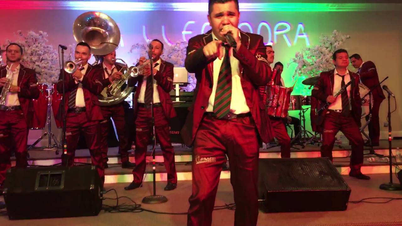 Mi Lindo Nayarit YouTube