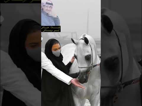 جلسة عود علي بن محمد شفت لي خيل 