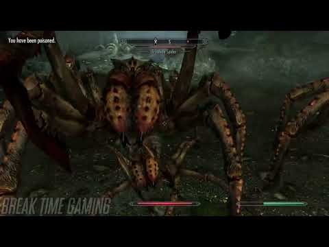 Skyrim screenshot 4: Who it's for