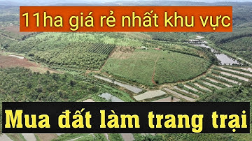 ĐẤT ĐẸP GIÁ RẺ MUA ĐẤT LÀM TRANG TRẠI ĐẮK NÔNG | 11ha giá 700tr/ha