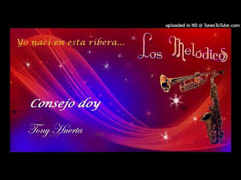 Consejo doy -