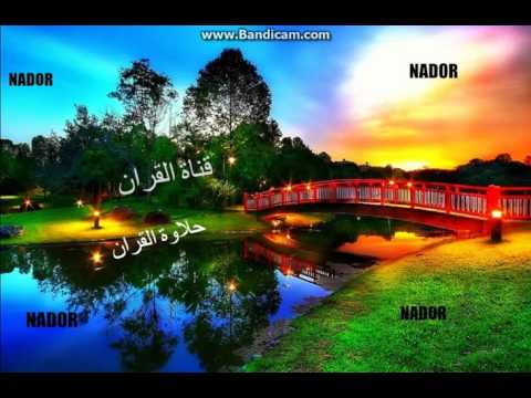 أفضل تعبير عن القران الكريم للشيخ سليمان الرحيلي