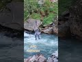 #music #arabic #nature #nuristan #funny #топ #gemslover