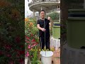 Title: GORGEOUS Alice's Resin Flower Pots: Premium Quality & Fine Mesh Bottom