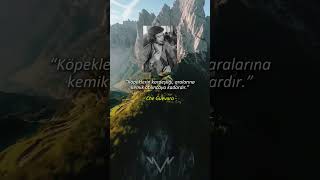 Che Guevaranın Hayat Değişitren Sözü...