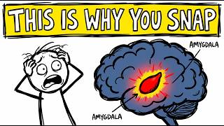 The 90-Second Rule: Why Your Anger Was Never the Problem