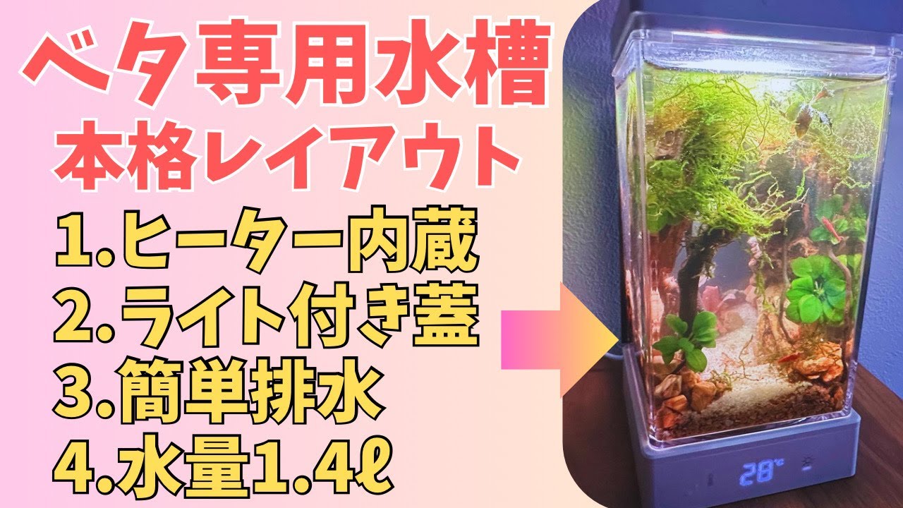 Set up a full-scale aquarium layout with this all-in-one tank for