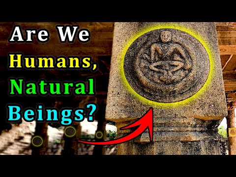 Were Humans Genetically Modified 12000 Years Ago In Ancient India 
