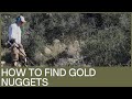 Look At All The Gold Nuggets Prospecting With Minelab GPX Metal Detector in Arizona