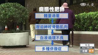 慈青夜市推廣素食 愛地球從餐桌開始
