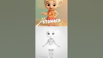 Inside the body #ballerinacappuccina #learning #english