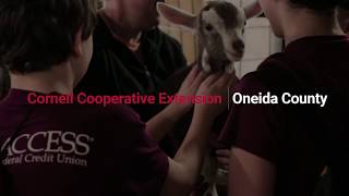 About Agriculture at CCE Oneida