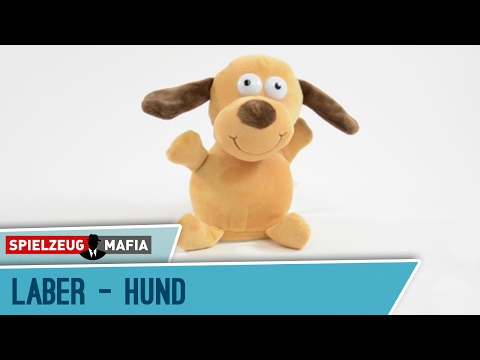 Video: Die trendige neue Art der Hundebehandlung Berner Sennenhunde Go Nuts For