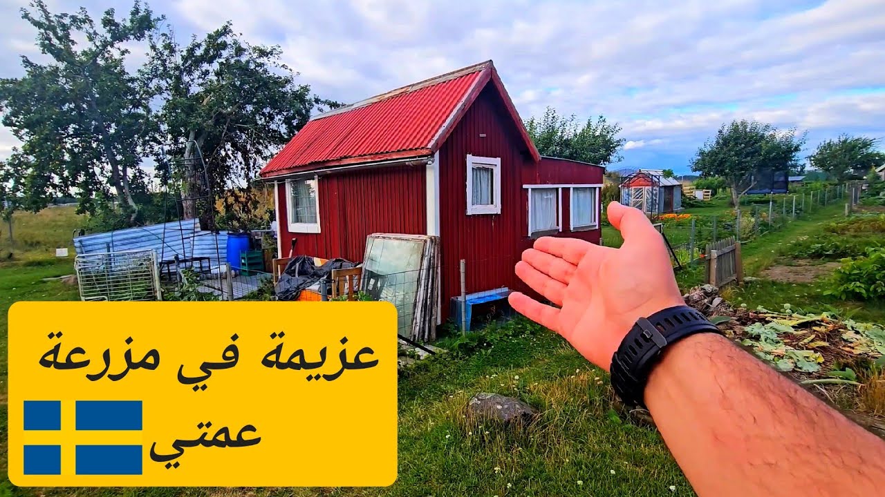 لا تتخيل انواع المحاصيل في مزارع السويد.. سعر المزرعة سيصدمك 🤯 #مزرعة #السويد #طبخ #طبيعة #شواء 