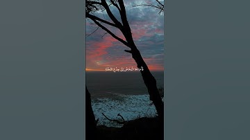 ﴿قالت يا ليتني مت قبل هذا وكنت نسيا منسيا﴾ سورة مريم | تدبر وخشوع | آيات مرتلة بصوت الشيخ بندر بليلة