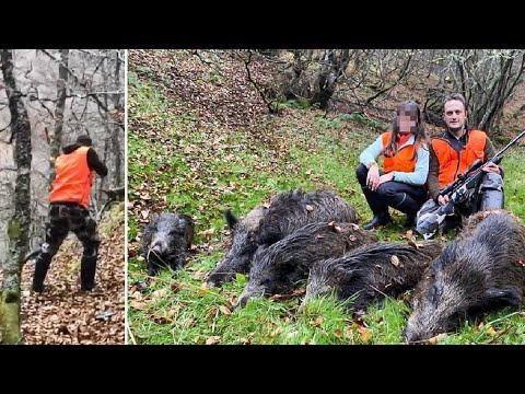 Caza cinco jabalíes de una piara de siete en un lance épico que queda grabado