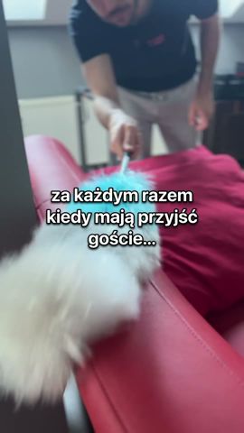 kiedy mają przyjść goście... 🧹🧹