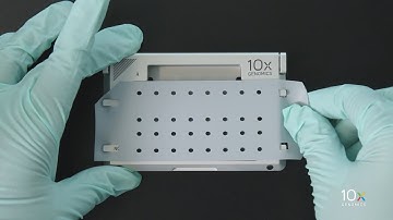 Single Cell Gene Expression Protocol v3.1 | Assemble Chromium Next GEM Chip G