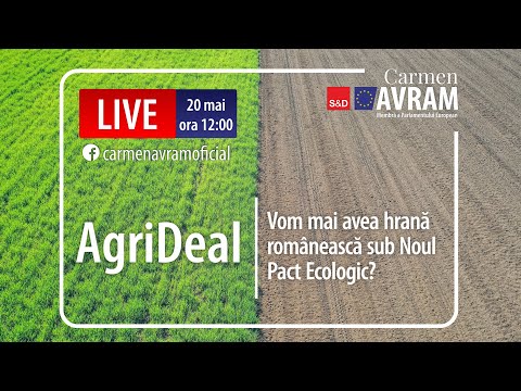 Video: Cum crește părul: un an de închisoare auto-impusă de Tehching Hsieh