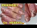 СЛОМ В МЯСО 😐 16 недель ногтям 💅 Укрепление ногтей базой / Маникюр