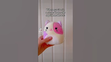 Literally 😅 #squishmallows #squishtok #squishhunt #squish #squoshmallowhunt #squishmallow