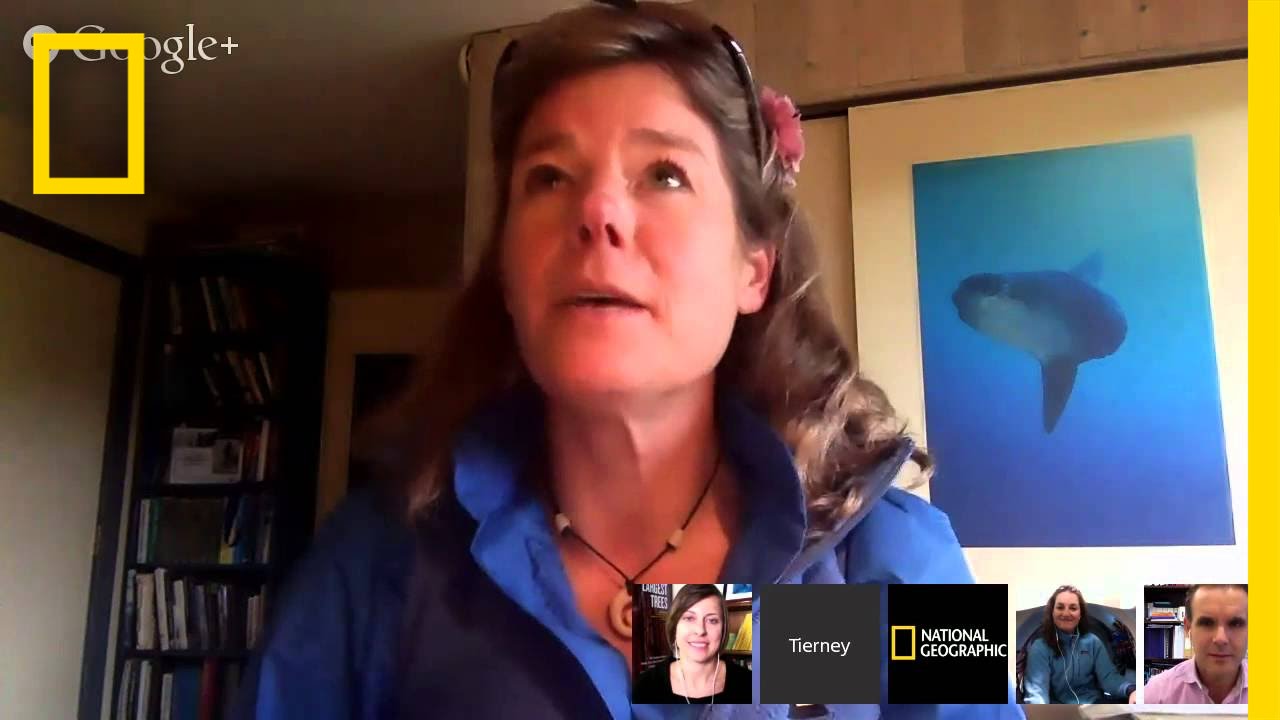 Hangout: Protecting the Ocean And Its Creatures (2014)
