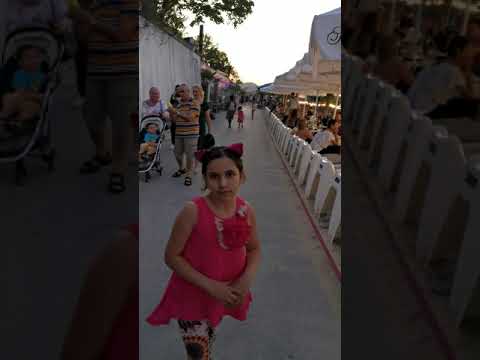 على ضفاف نهر الدانوب فيينا