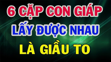 6 CẶP CON GIÁP Tương Hợp, Lấy Nhau Là Giàu Có Hạnh Phúc, Gia Đạo Viên Mãn - Gía Trị Cuộc Sống