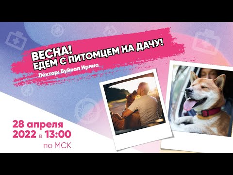 Едем с питомцем на дачу: правила перевозки, клещи, аптечка. Вебинар Школы «Хвост Ньюс»