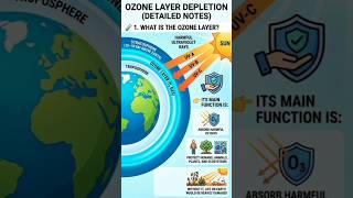 🌍 Save the Ozone Layer, Save Life on Earth| Ozone depletion, Causes, Impacts and Solution