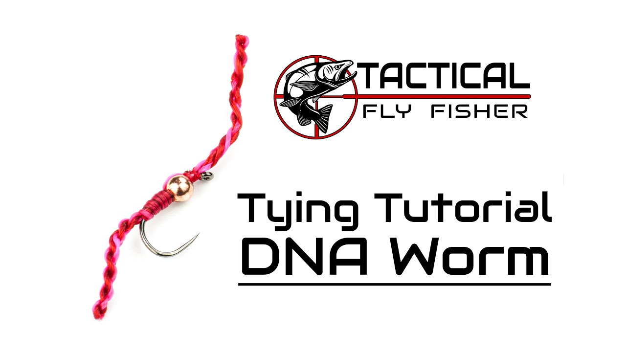 DNA Worm Tying Tutorial 