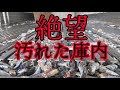 荷卸し完了後の絶望的な庫内これをどう処理するかお見せします【高知〜宇和島】【絶景】【長距離トラック運転手】