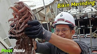 If They're Scary When Small, Imagine When Big?? Meet the World's Largest Cockroach !!