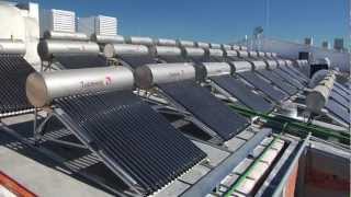 Grupo Bimbo | We are committed to the environment