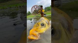 Amazing big carp fishing by polo #bigfish #polofishing #shorts