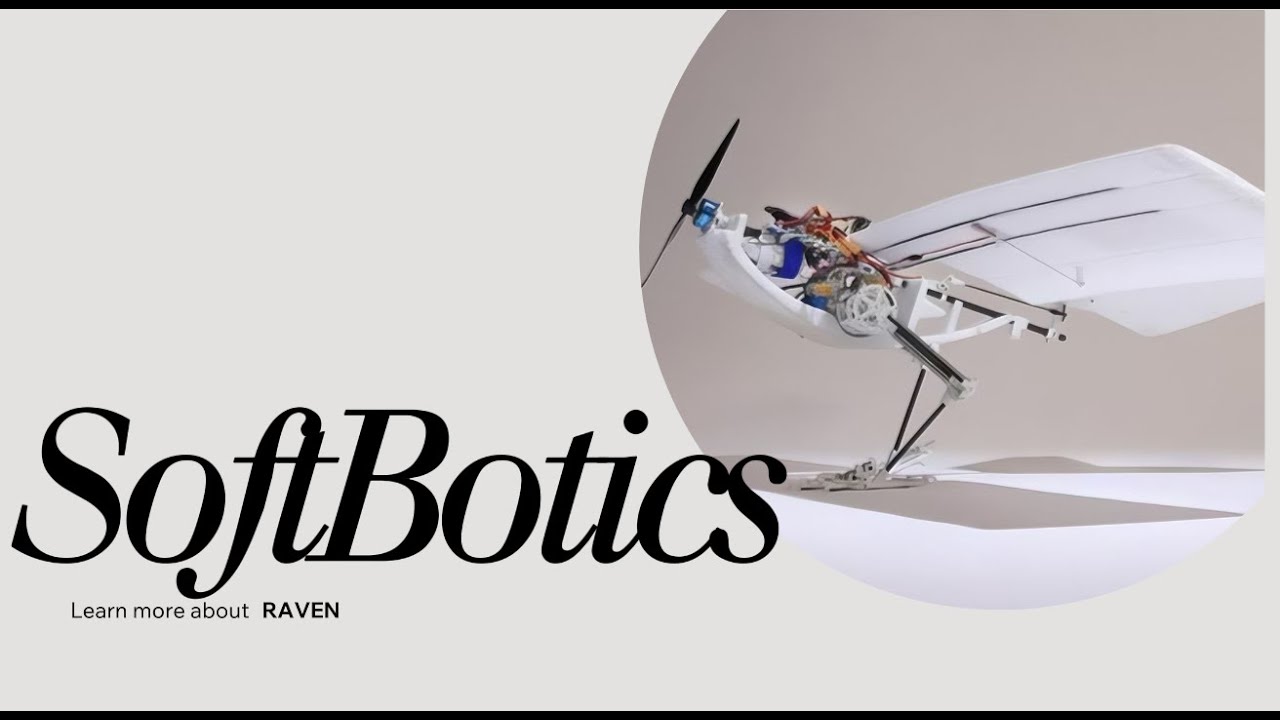 Mit Raven RAVEN (Robotic Avian-inspired Vehicle for multiple ENvironments) - YouTube