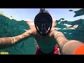 Сноркелинг Красное море в Shark Bay 2019 HD/Snorkeling in the Red Sea-Shark Bay 2019