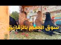 حلقة سوق الحمام بالزقازيق الجمعة ١٣ ٣ ٢٠٢٦