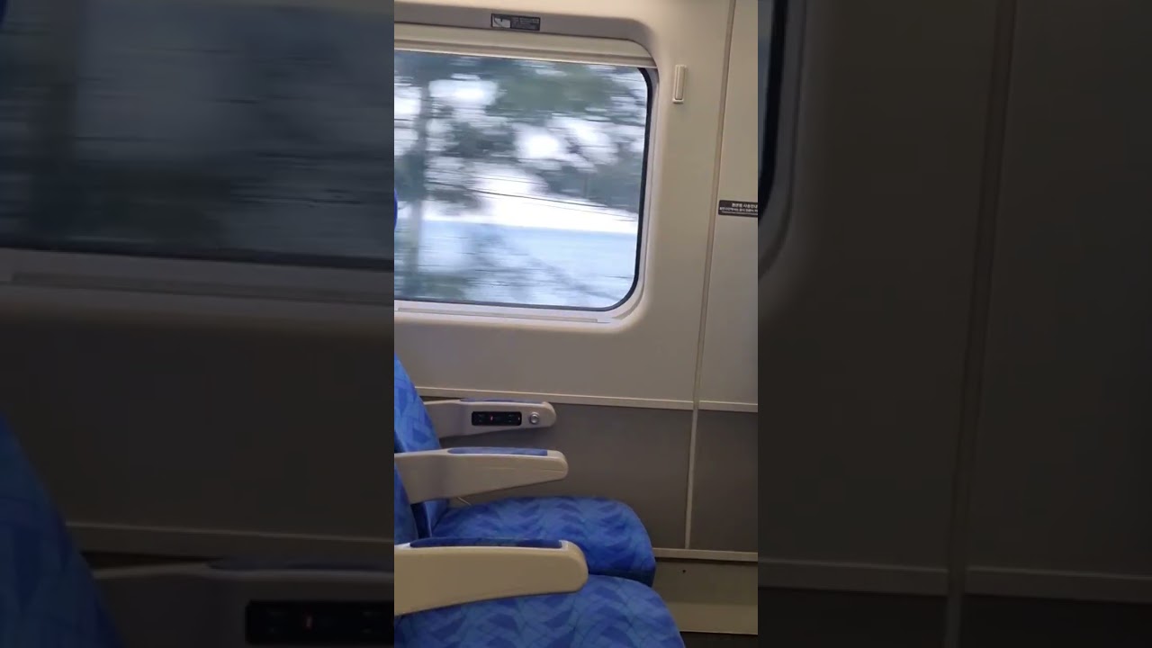 15초로 보는 정동진 기차 여행  #shorts