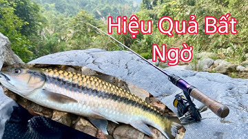 Vissen met een UL-hengel, extreem effectief vissen met een beeklokmiddel | Vissen met een beeklok...