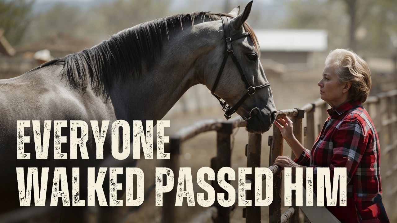 Nobody Wanted the Gray With the Rubbed-Withers... Until the Widow Saw the Saddle Tree Pattern