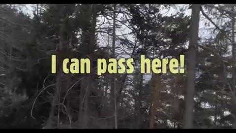 Drone RTH fail and crash!