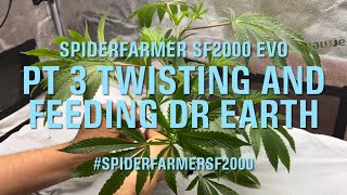 Spider Farmer SF2000 EVO+4x2x6 Tent+Clip Fan - EP03 Twisting and Feeding Dr Earth