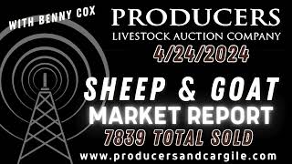 4-24-2024 - Sheep & Goat Market Report - Producers Livestock Auction Company by Bluestem Digital Ag 160 views 1 month ago 2 minutes, 26 seconds
